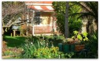 Breakfast in the garden